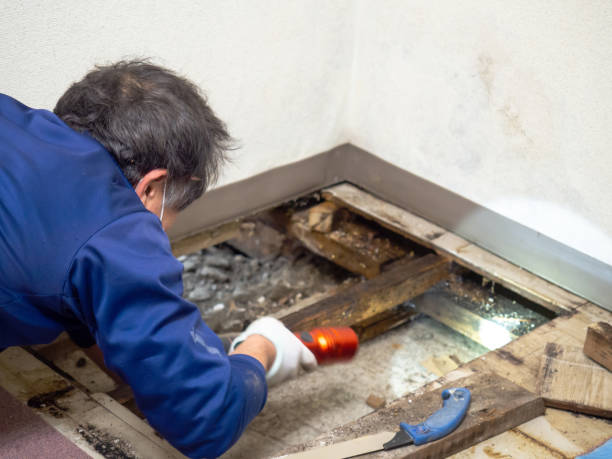 Best Water Damage Restoration  in Worthington Hills, KY