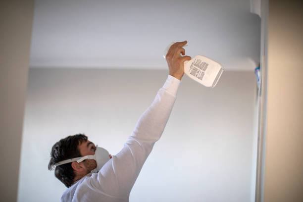 Best Attic Mold Removal  in Worthington Hills, KY
