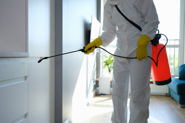 Best Commercial Mold Removal  in Worthington Hills, KY