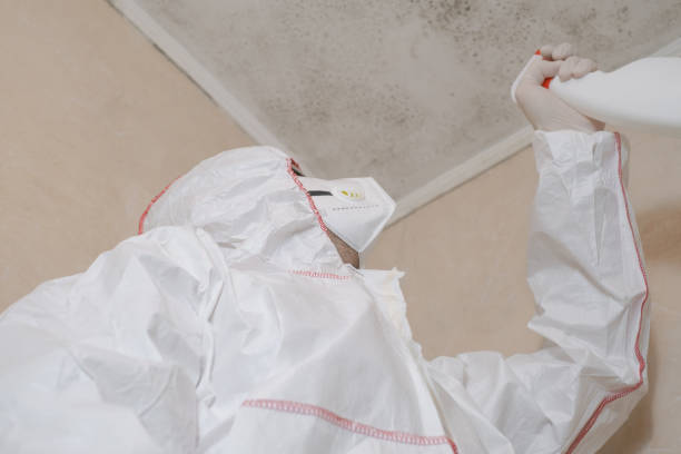 Best Mold Testing  in Worthington Hills, KY